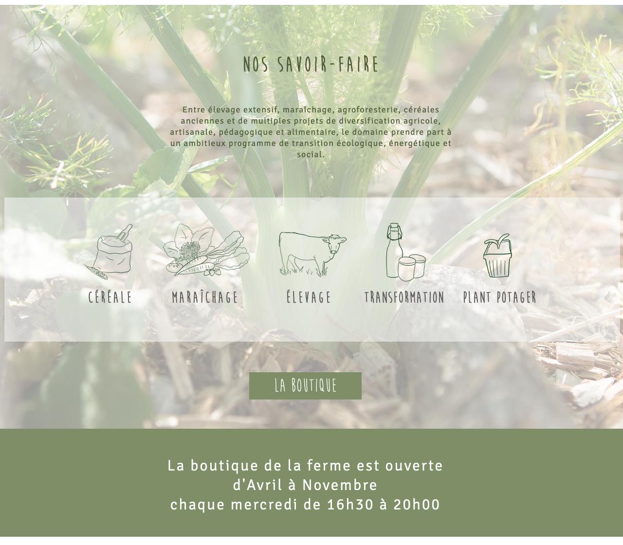 coralie monpontet savoir-faire graphiste illustratrice ferme de layat auvergne